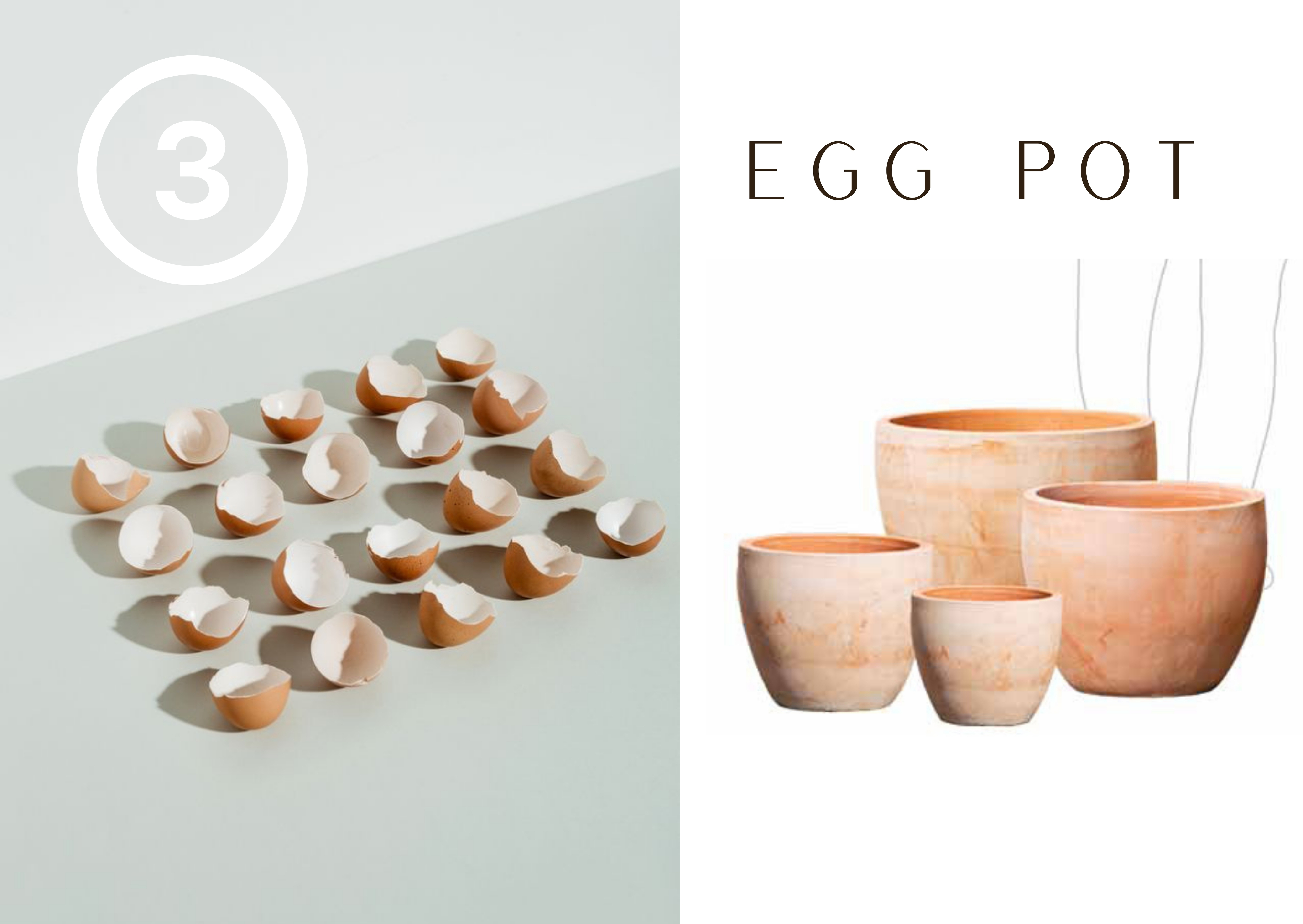 Egg Pot 6